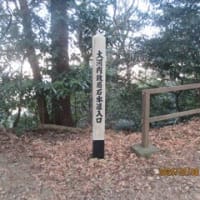 高天神城