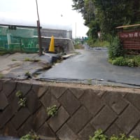 妙蓮寺散歩ーシェア畑・慈雲寺・菊名池