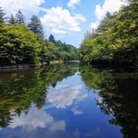 雲場池で思わぬ出会い