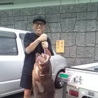 クエ(モロコ)釣り釣果