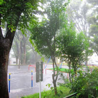 ゲリラ豪雨