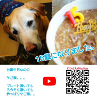 ロンさんの、15歳のお誕生日ごはんは？☆今日のロンごはん☆