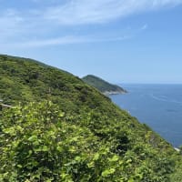 何かに集中だけれど、、