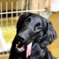 アスカくん。。。見切れてるよ～