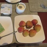 ベトナム料理　ハロン湾 『サイゴンハロンホテル』 