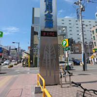 暑い中、カレーというのもあり？