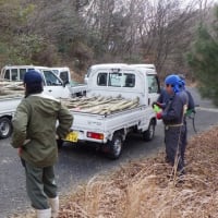 耶馬渓で原木の切り出し作業