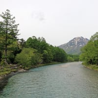 上高地　河童橋からの景色　２
