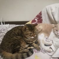 ほっとしました