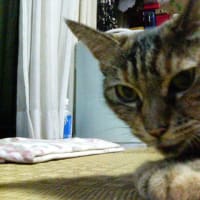 UNDER　WORLDに酔う秋の夜長。。。