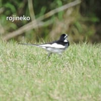侍タイムスリッパ－