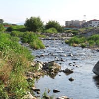 石川化石木の現状　２０２５年６月