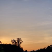 朝空