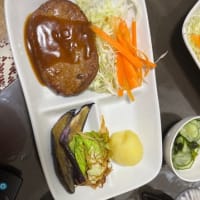 今日は晴れたので歩けそうだね