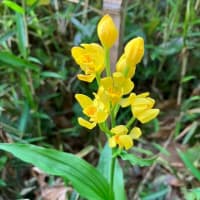 人生に最高のものを顕現させる