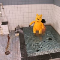 プーさん　北海道檜山郡厚沢部町　俄虫温泉旅館に　立ち寄り入浴したんだよおおう