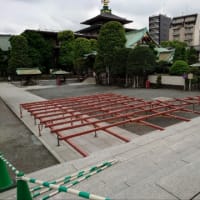 組み合わせ完璧なハンバーガーどうでしょう