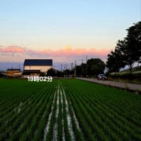 ６月17日火曜日　真夏日❗