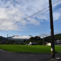 早朝の外出