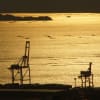 縮景園と広島湾夕景　170214、15
