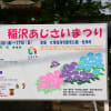 あじさいまつり