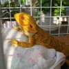 何があった!?
