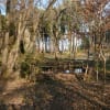 里山林の観察日記