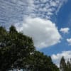 隅田川沿いを散歩・・・。青空と雲～