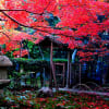 にっぽんの秋・京都紅葉物語その７、嵯峨野の厭離庵。