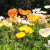 ３月２１日の万博公園