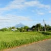 マヨン山の風景　その６
