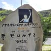 奄美大島、歌碑と記念碑