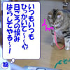 憎しみの連鎖・・・娘と猫の不幸な関係