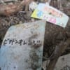太陰暦:師走廿九日 lunarSS calenderSiwasu 29 day