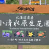 小清水原生花園