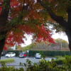 ２０１７年　椿峰ニュータウン周辺の紅葉
