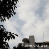 7月朝の散歩風景