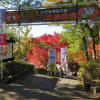 2020北山ダムの紅葉