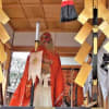 北野天神　ずいき祭り　先取り