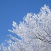 横津岳かんじき散策２０１７年２月２７日