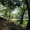 20150802 石巻 川開き 帰省 04 8月2日の石巻その2