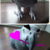 あの頃チャンネル(2009年12月27日～2010年01月02日)