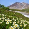 2012 旭岳姿見の池園地の四季・夏