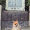 風景写真撮ってみようかな～？