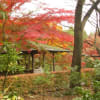 解剖学ノート編集委員会
