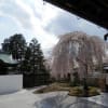 京都旅行2014春