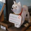 2011.12.17-18　金毘羅山・丸亀・小豆島