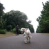あの頃チャンネル(2008年11月02日～2008年11月08日)
