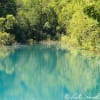 Ios7で僕の 青い池 が壁紙になっています Kent Shiraishi Photo Blog