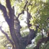 平成２６年２月の日々の写真の一部
